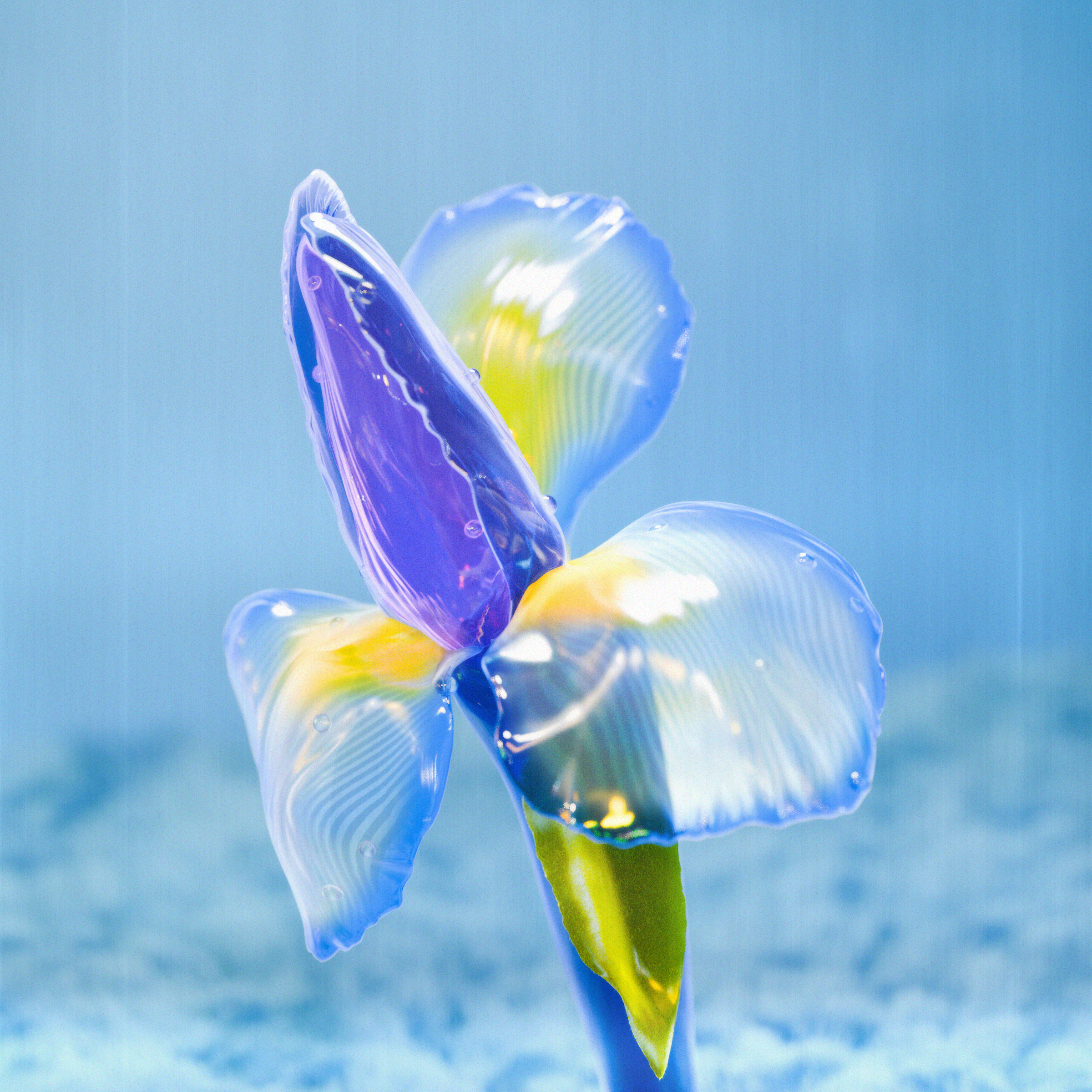 Flower #04 by Olivia Pedigo