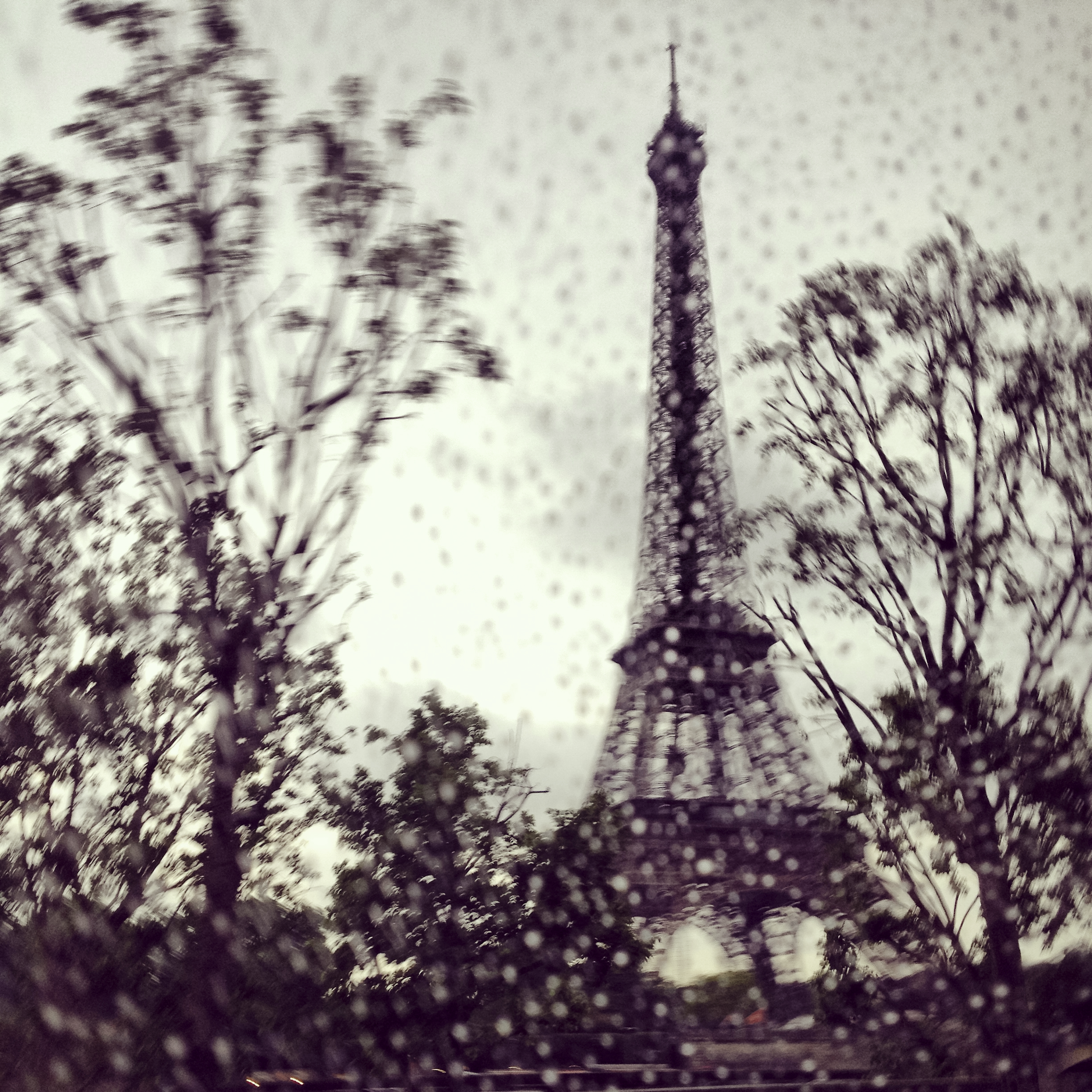 Dans le Bus