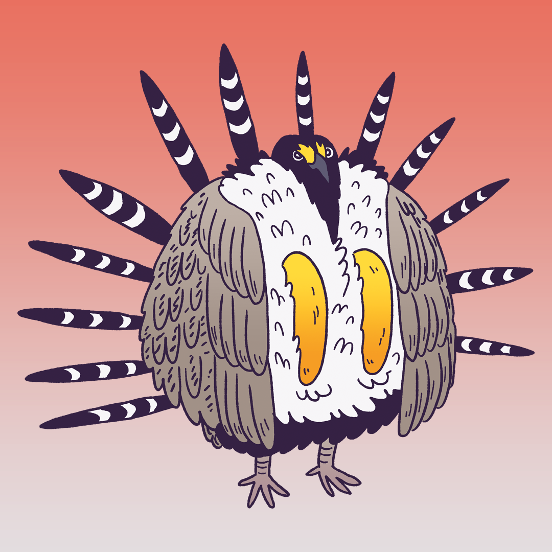 Greater Sage Grouse #1154