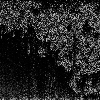 Noise #597 