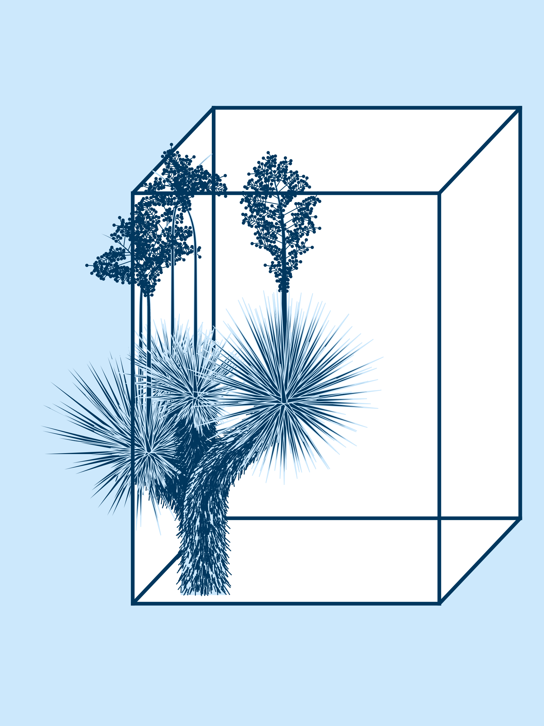 Marfa Yucca #109