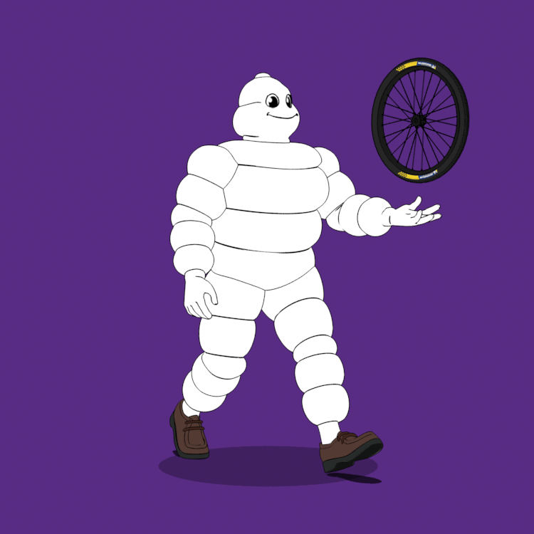 Michelin 3xplorer #1624