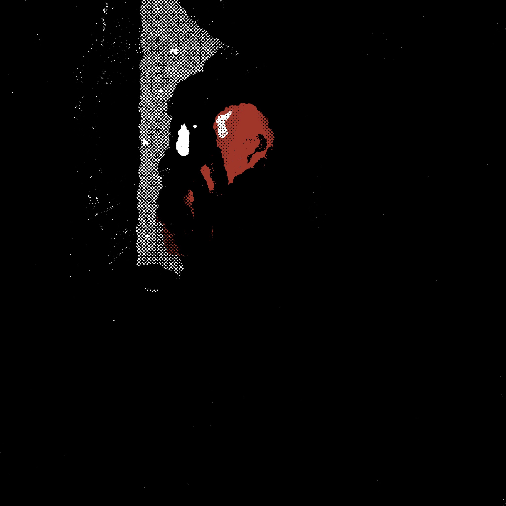 STREET SCANNER 2