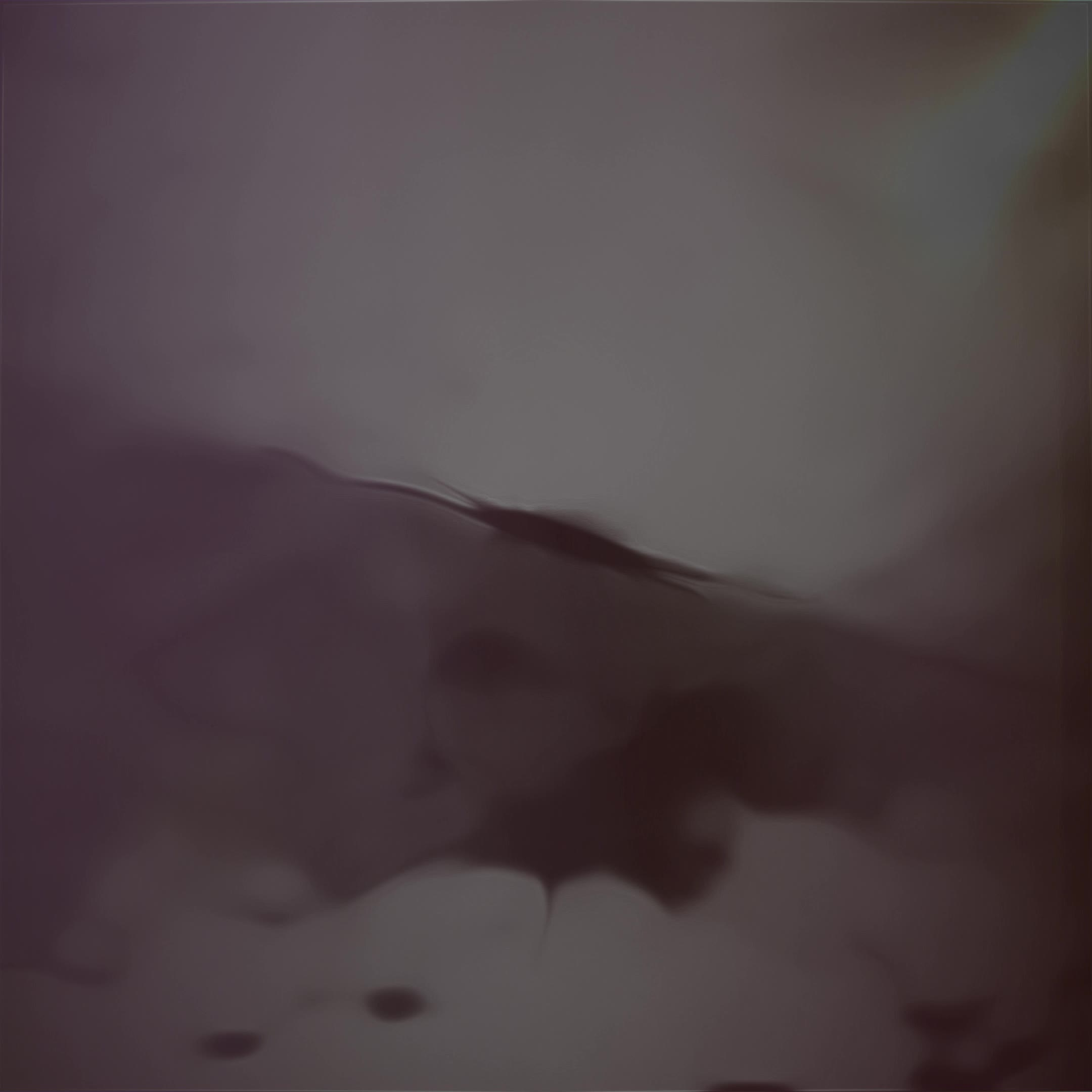 Disorders #11/184