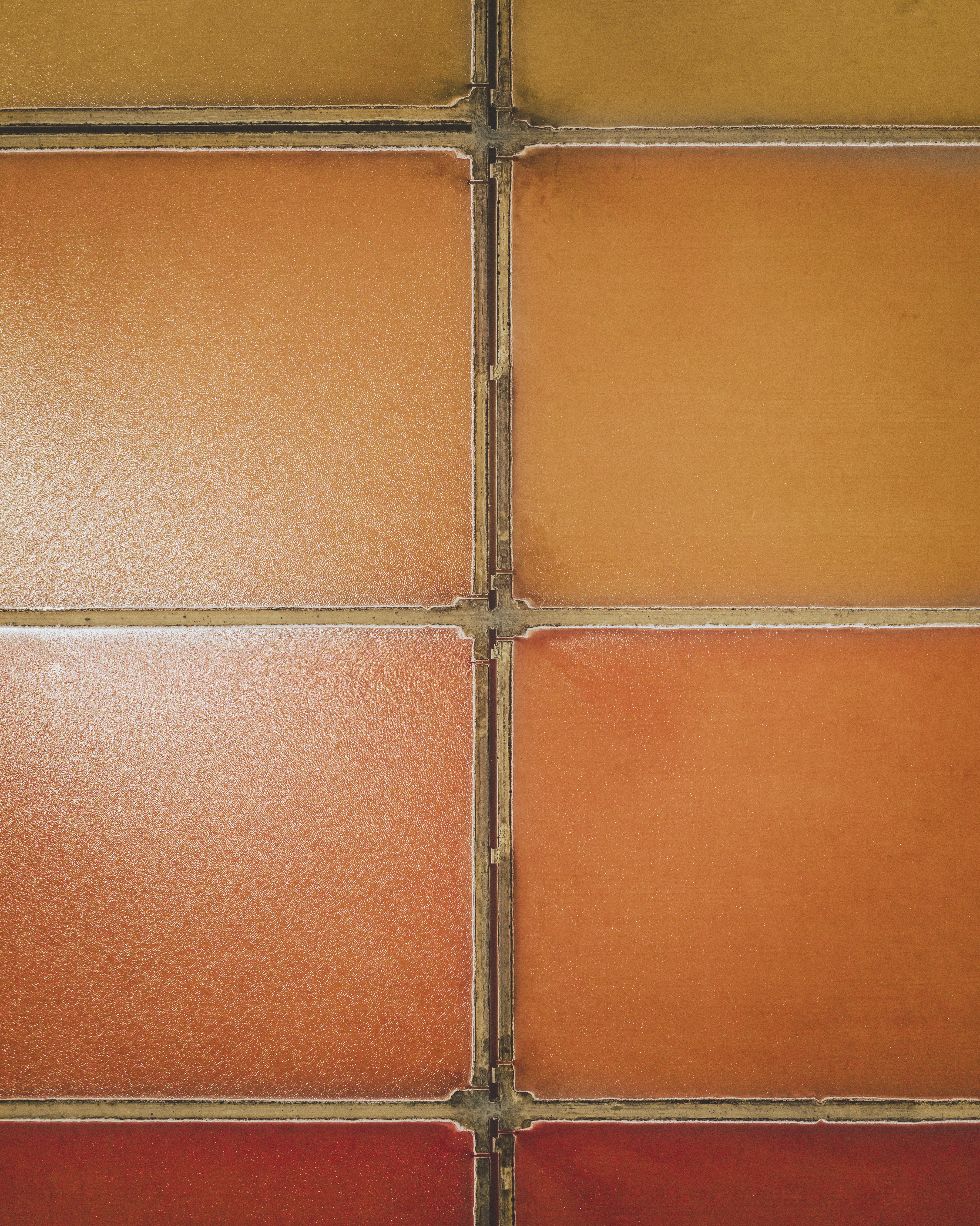 Orange1 - Piece of Cake