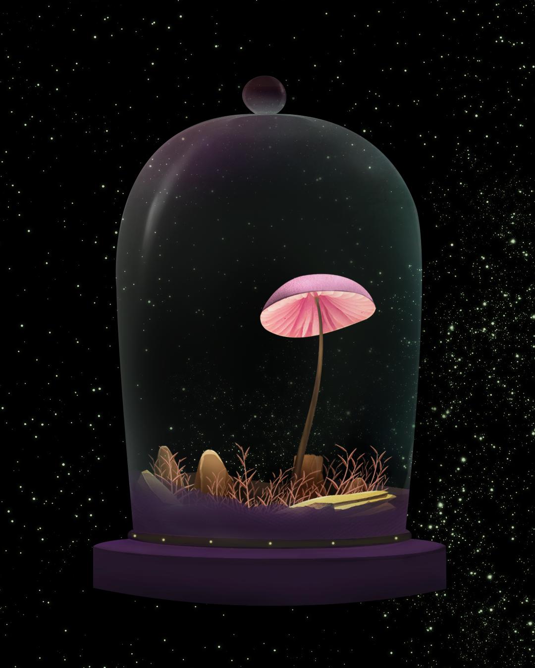 Mushroom #907