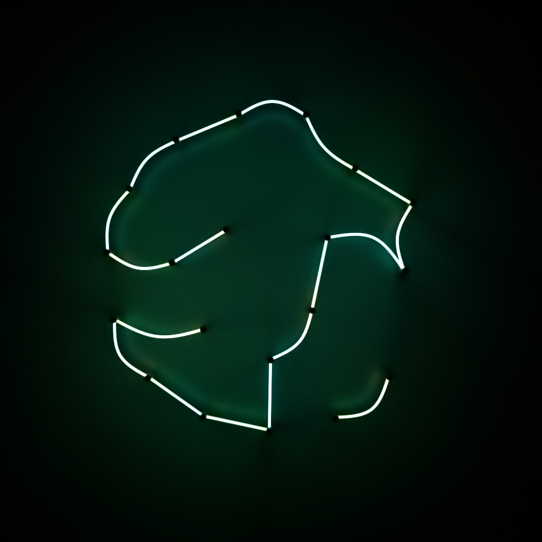 Neon Light #0635