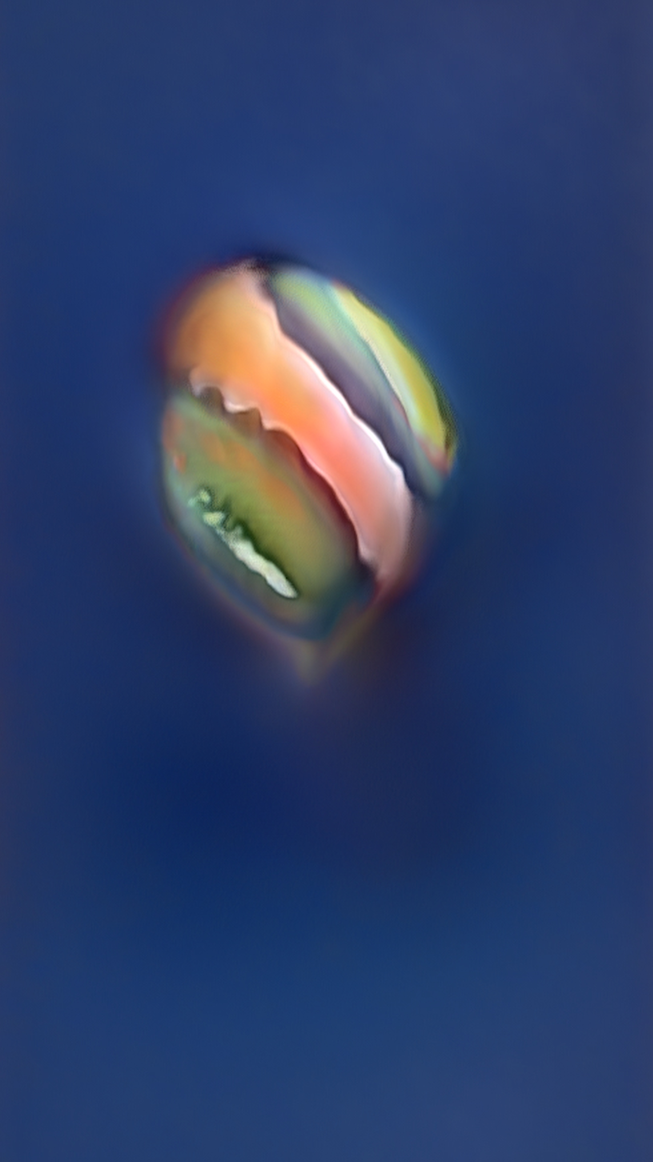 Latent Drift #8 — Latent Drift