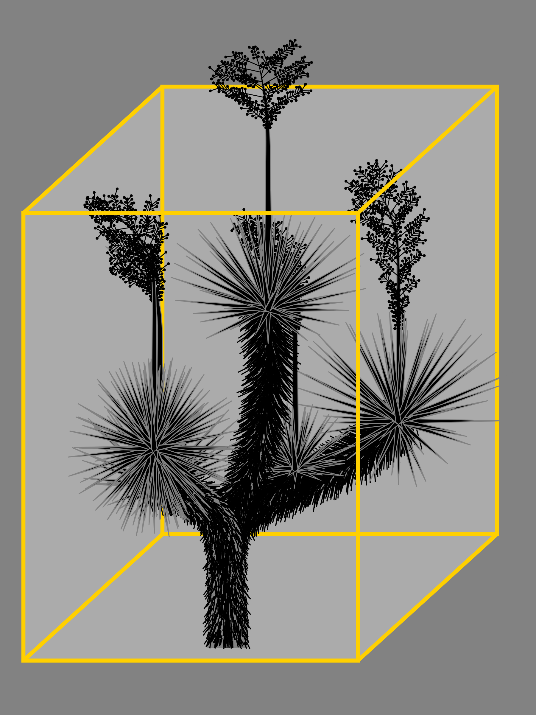 Marfa Yucca #274