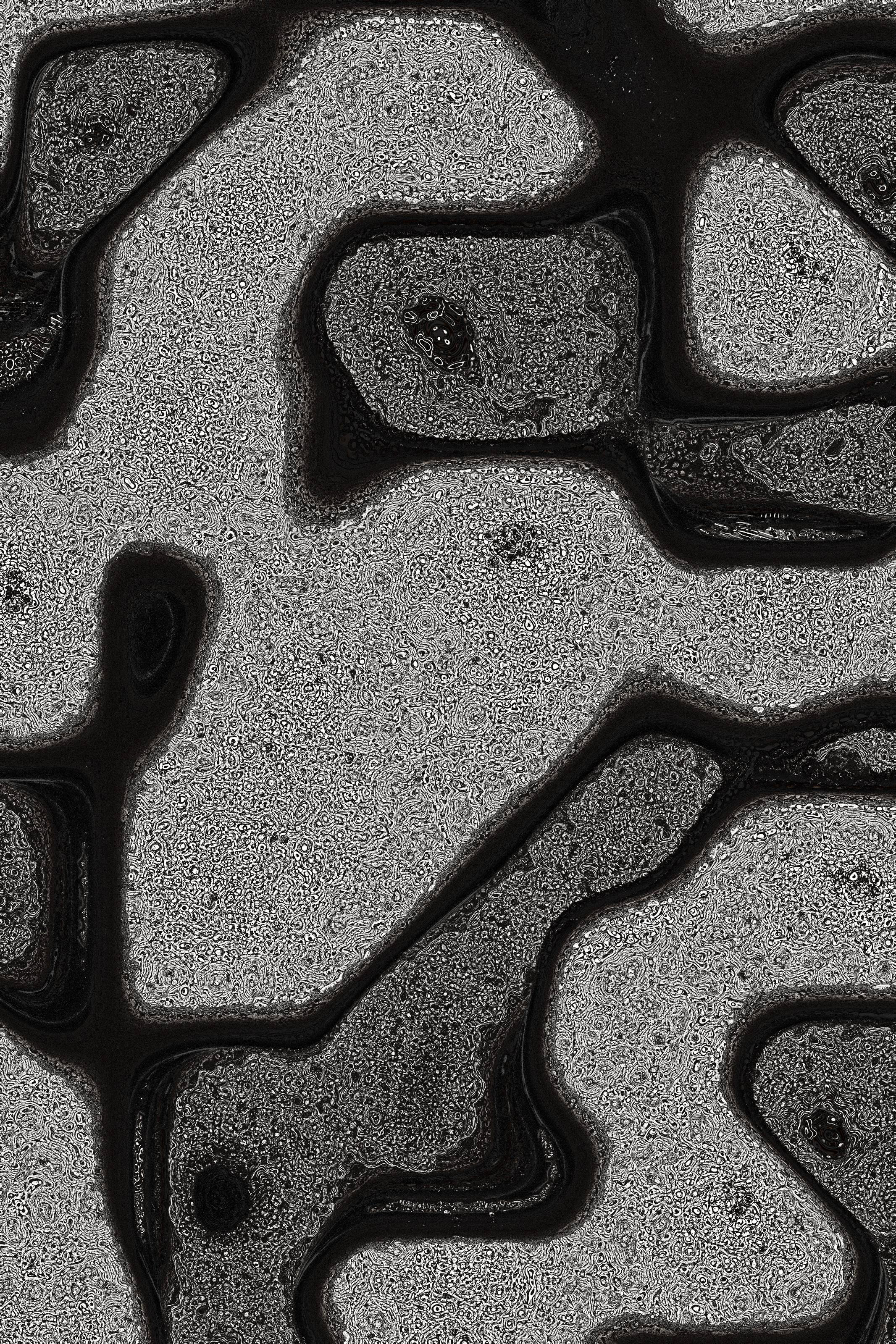 Dactylogram #109