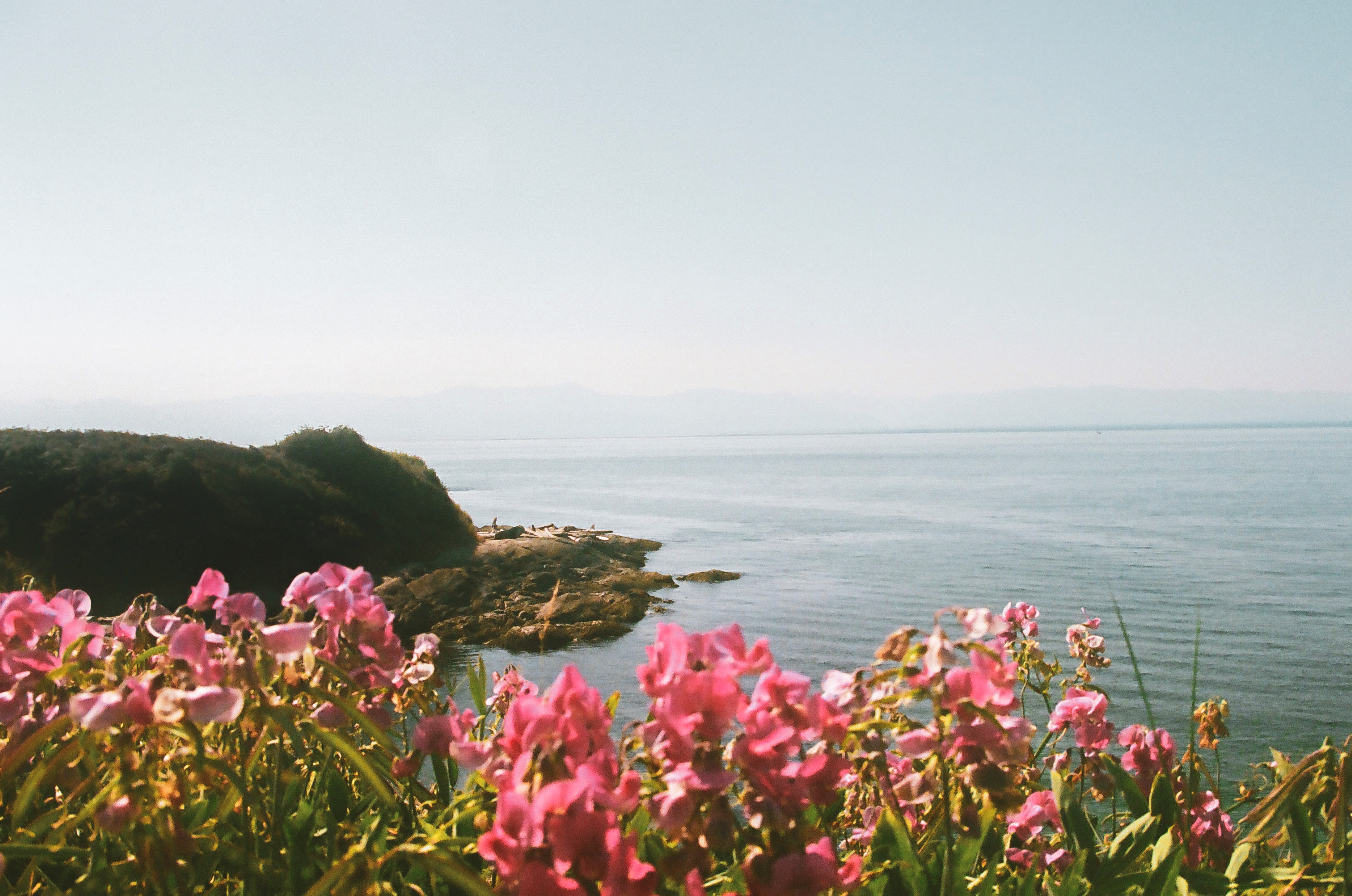 Shore Line