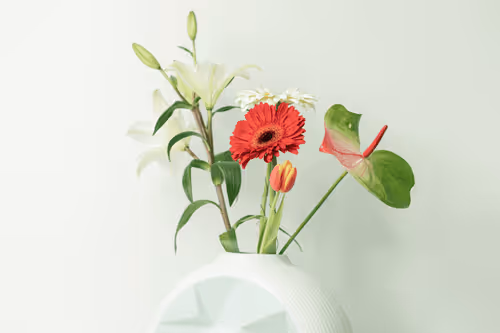 Blossom #001