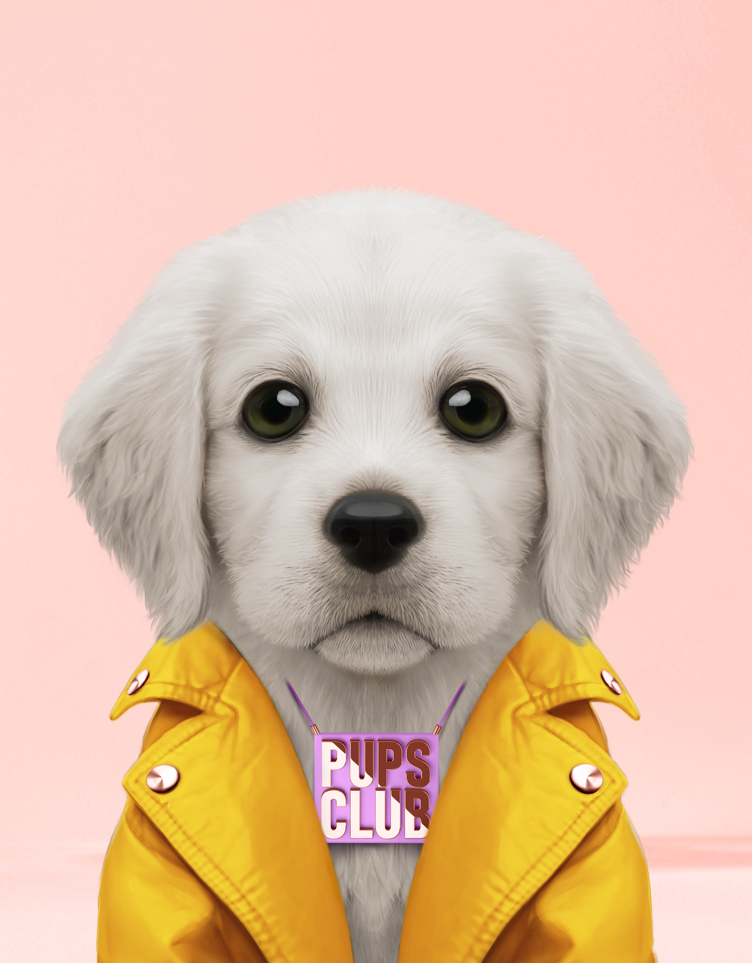 Pup #8661