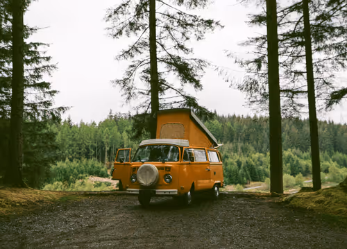 The best camp out