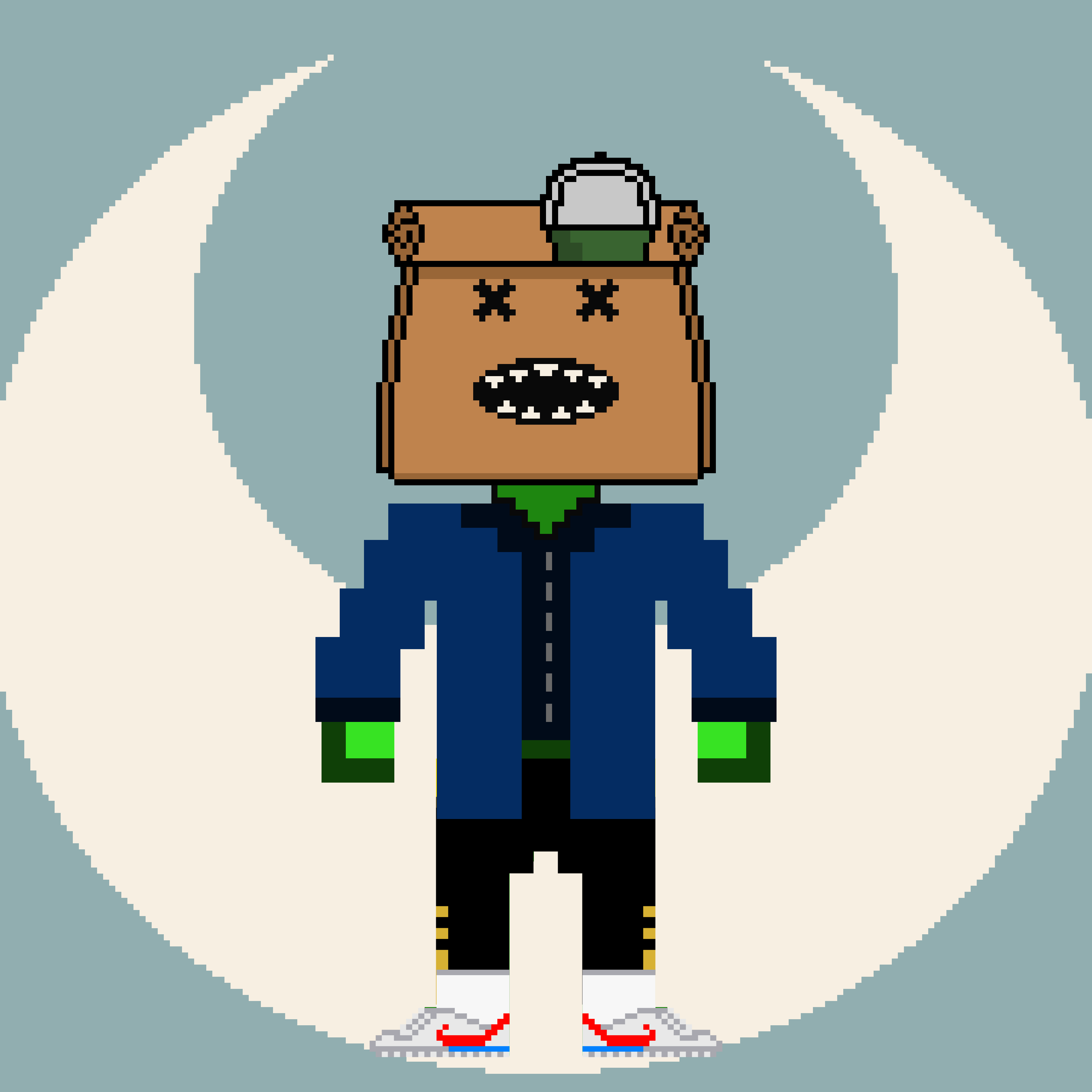 PXLBAGNER #3233