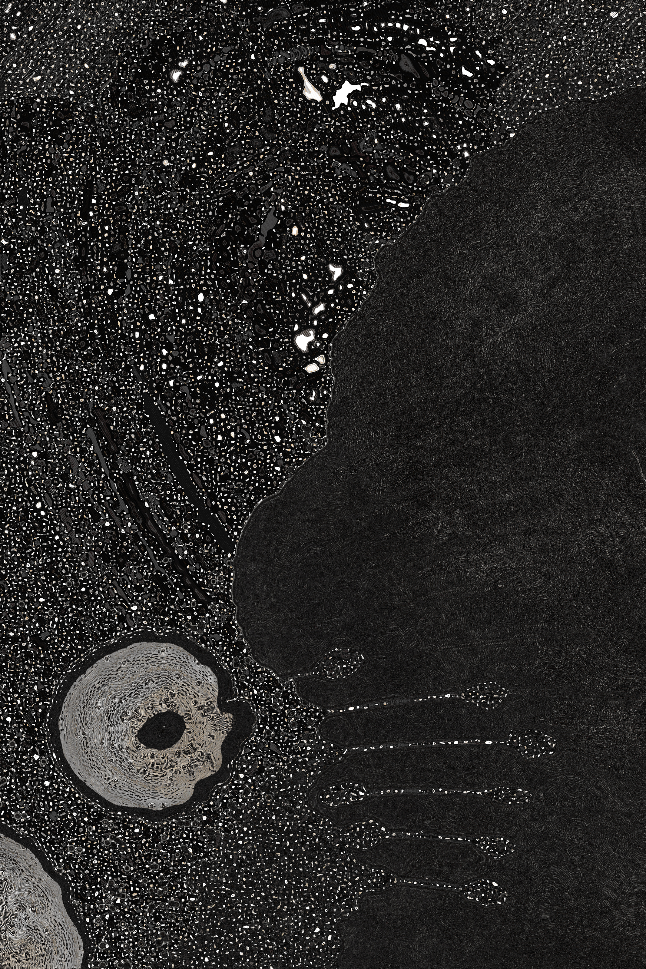 Dactylogram #36