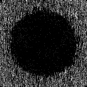Noise #1017 