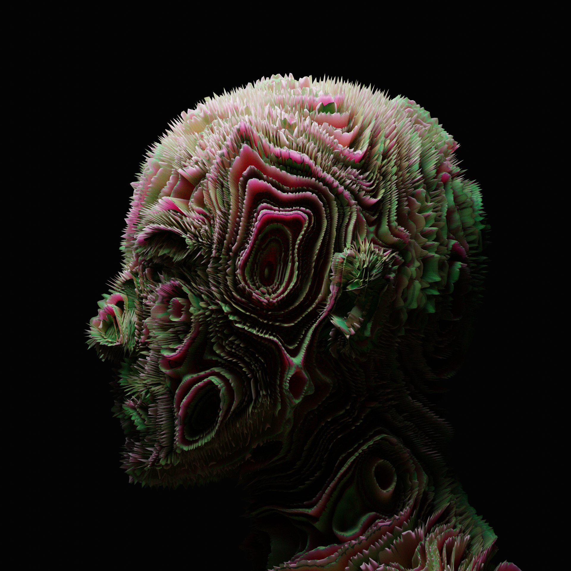 D I S T R A C T I O N