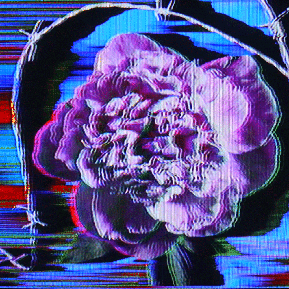 Flower #34