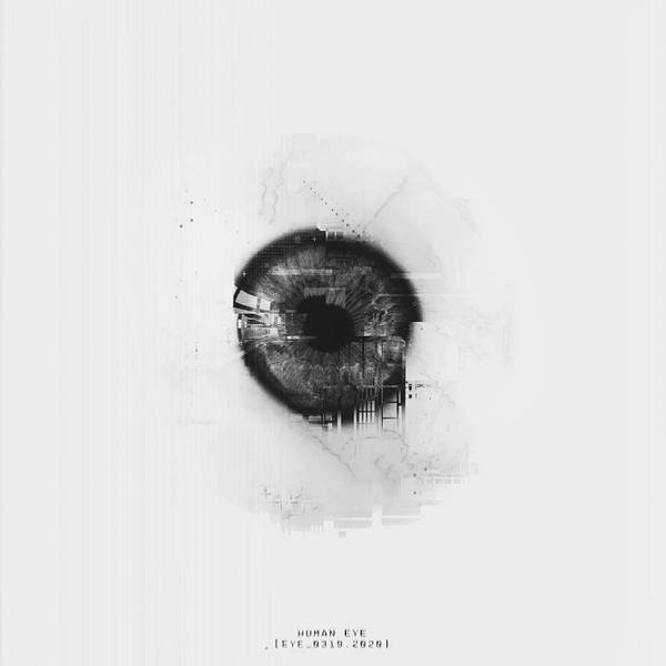 DISECTION- EYE