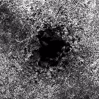 Noise #165 