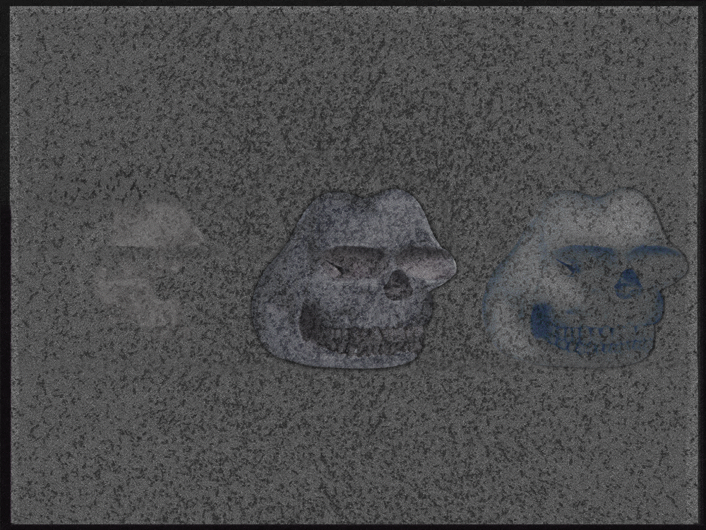 THE GRΞAT FROG COLOR STUDY 