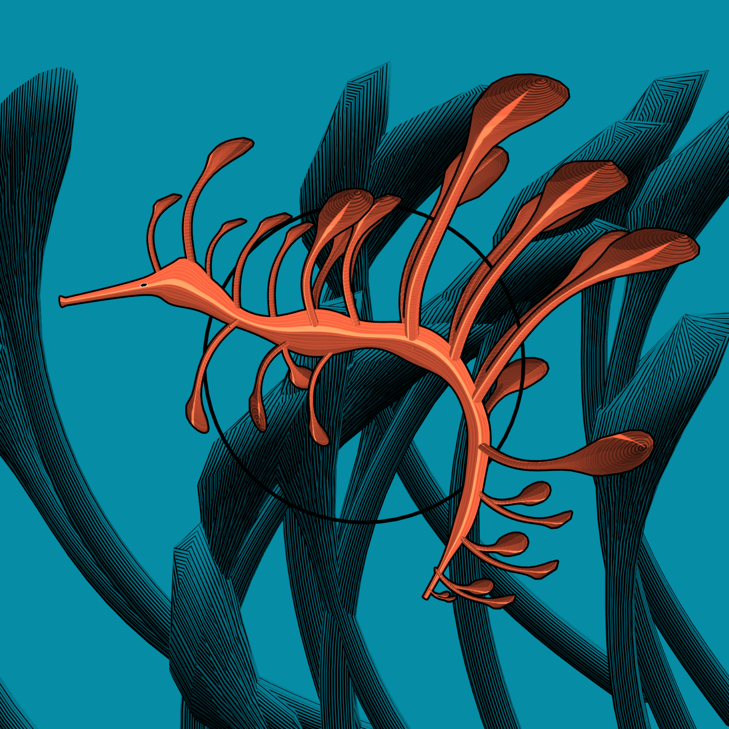 Seadragons #369