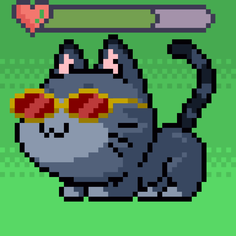 Catxoxo #2209