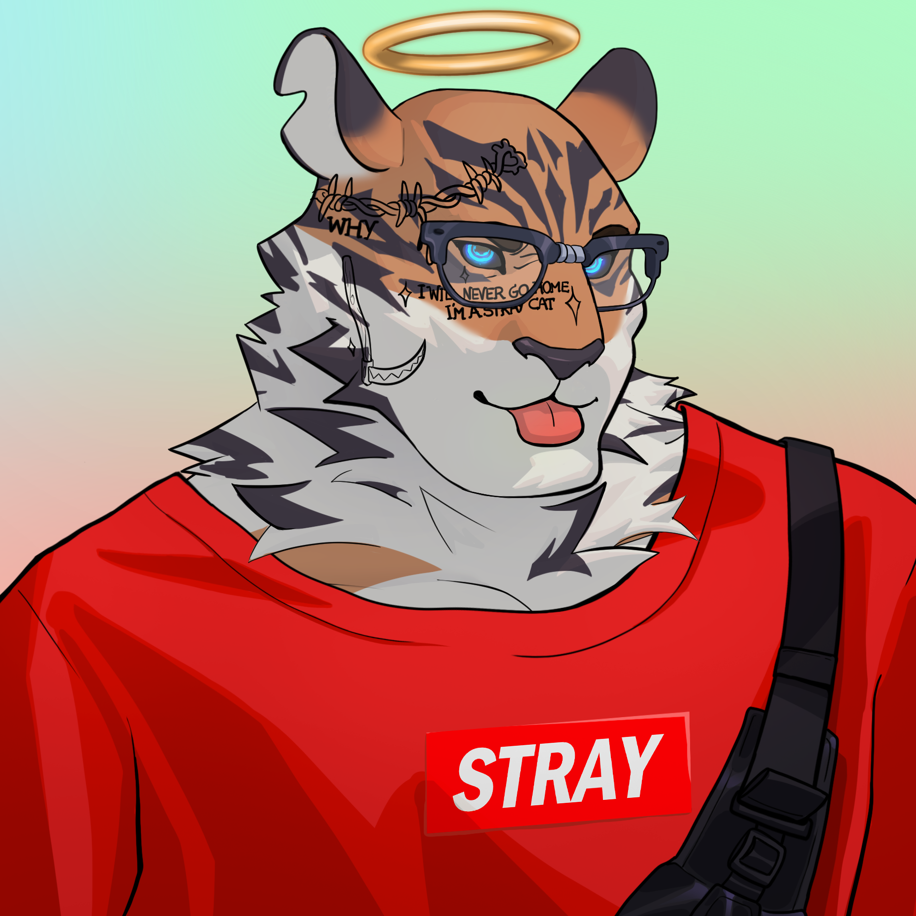 Stray Cat #911