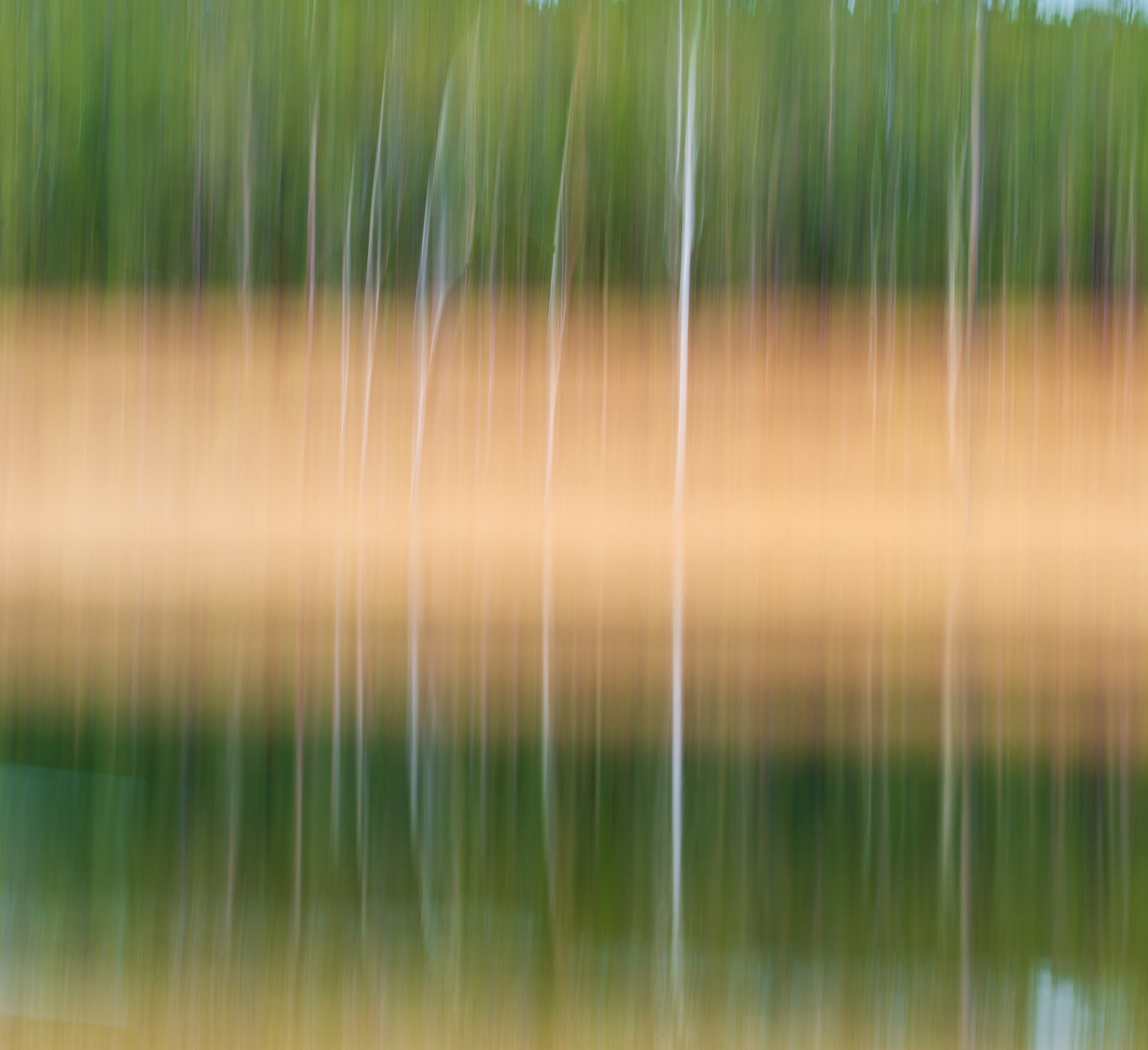Reflection