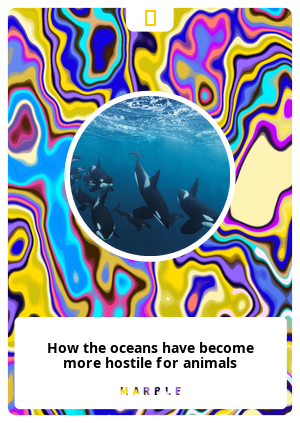 How the oceans have become more hostile for animals