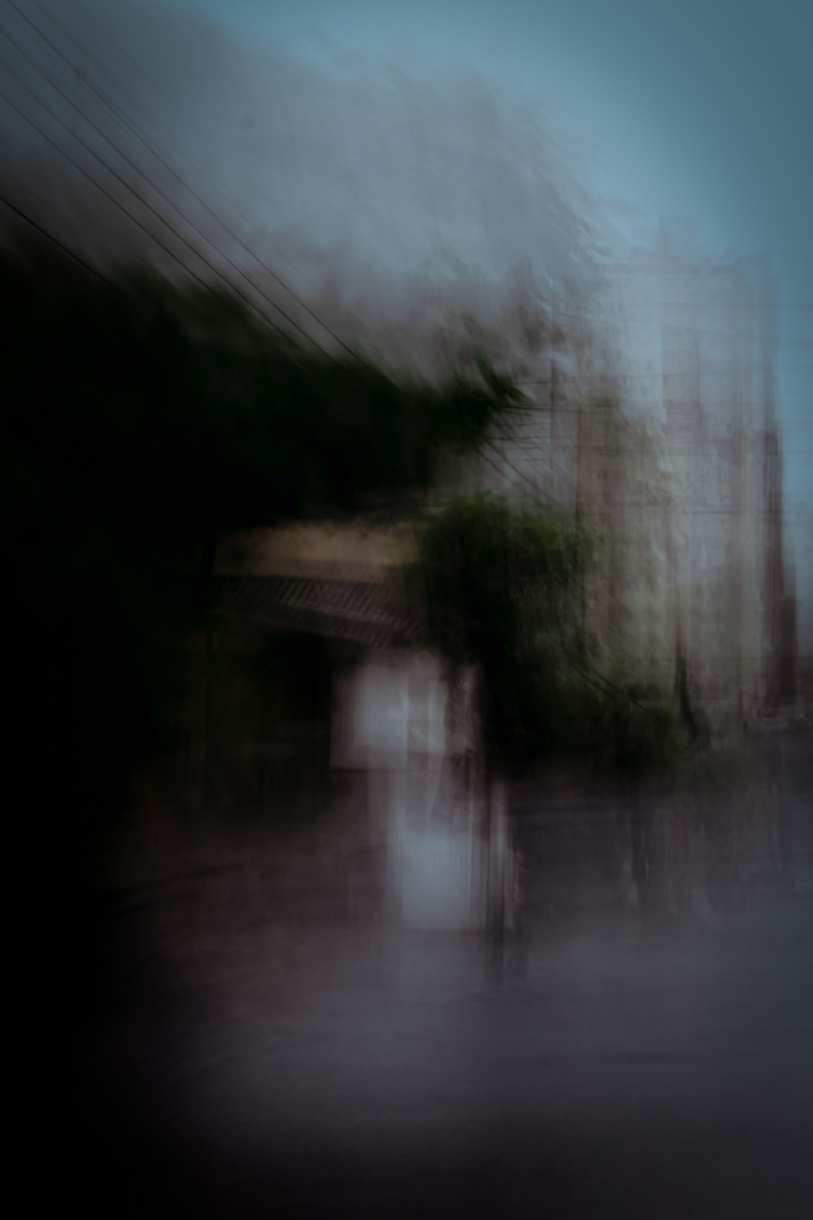 Focus VI