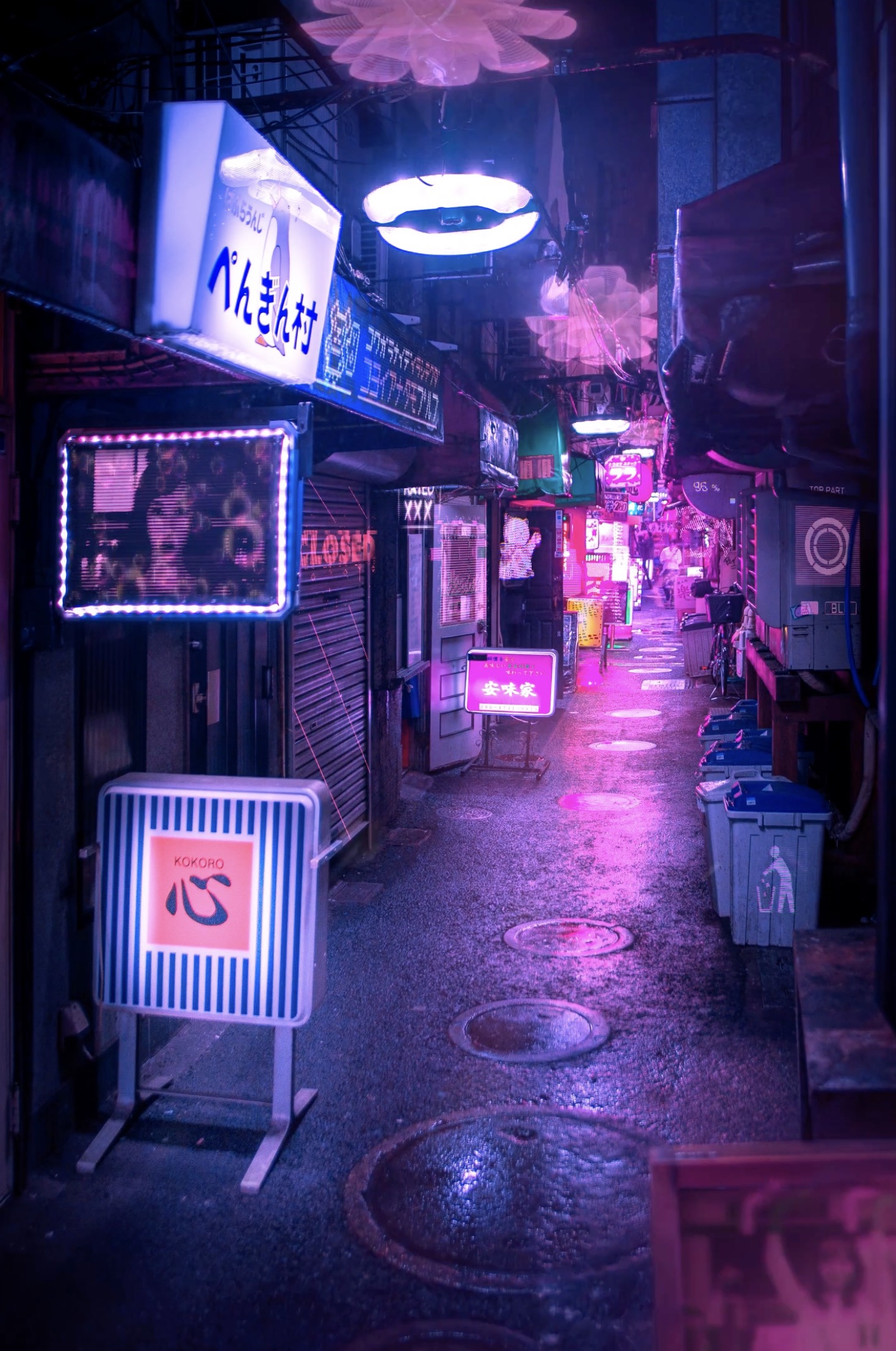 NOCTURNAL