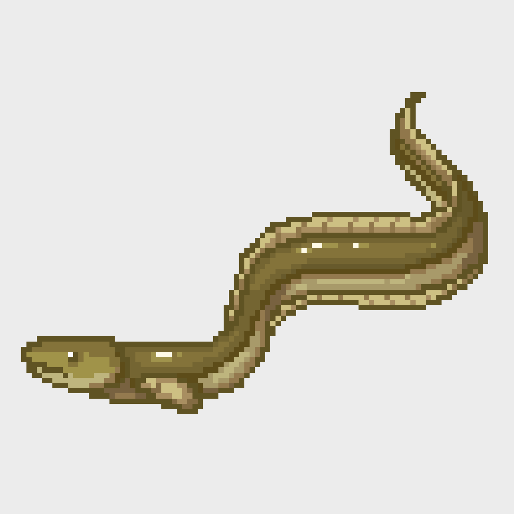 Eel