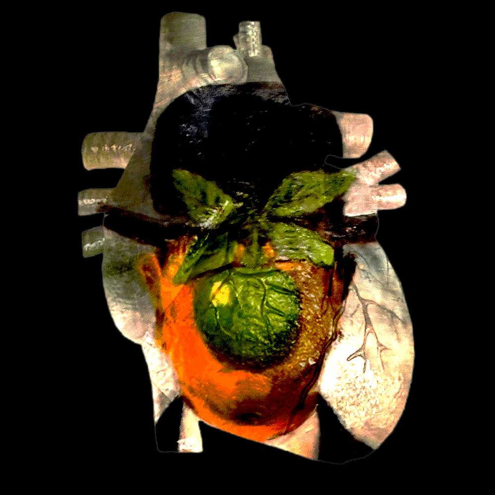 Son of man