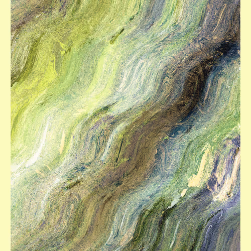Terroir #157