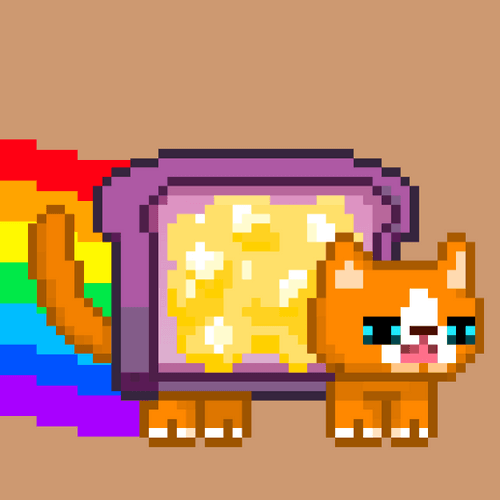 flappycat#1502