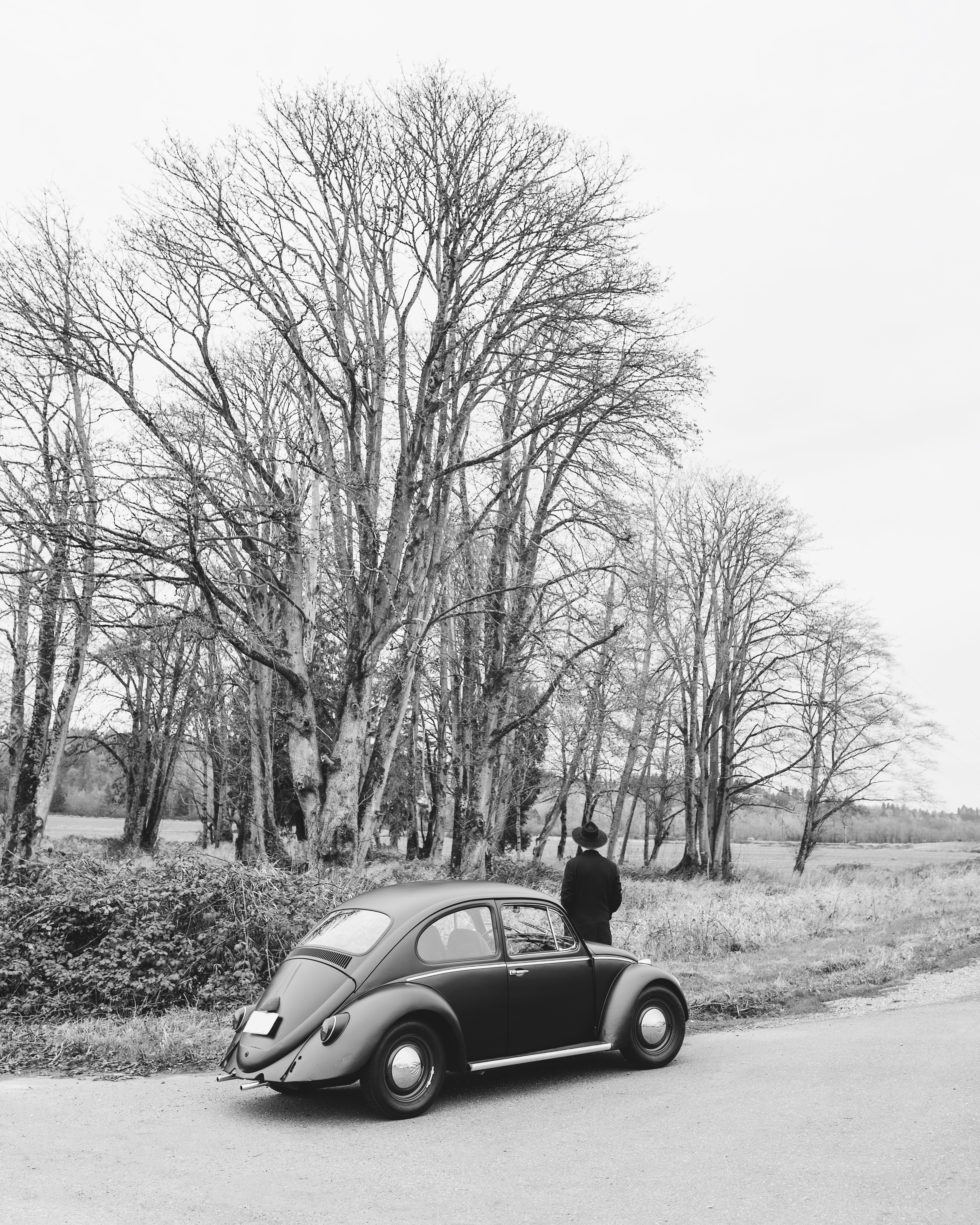 Bug