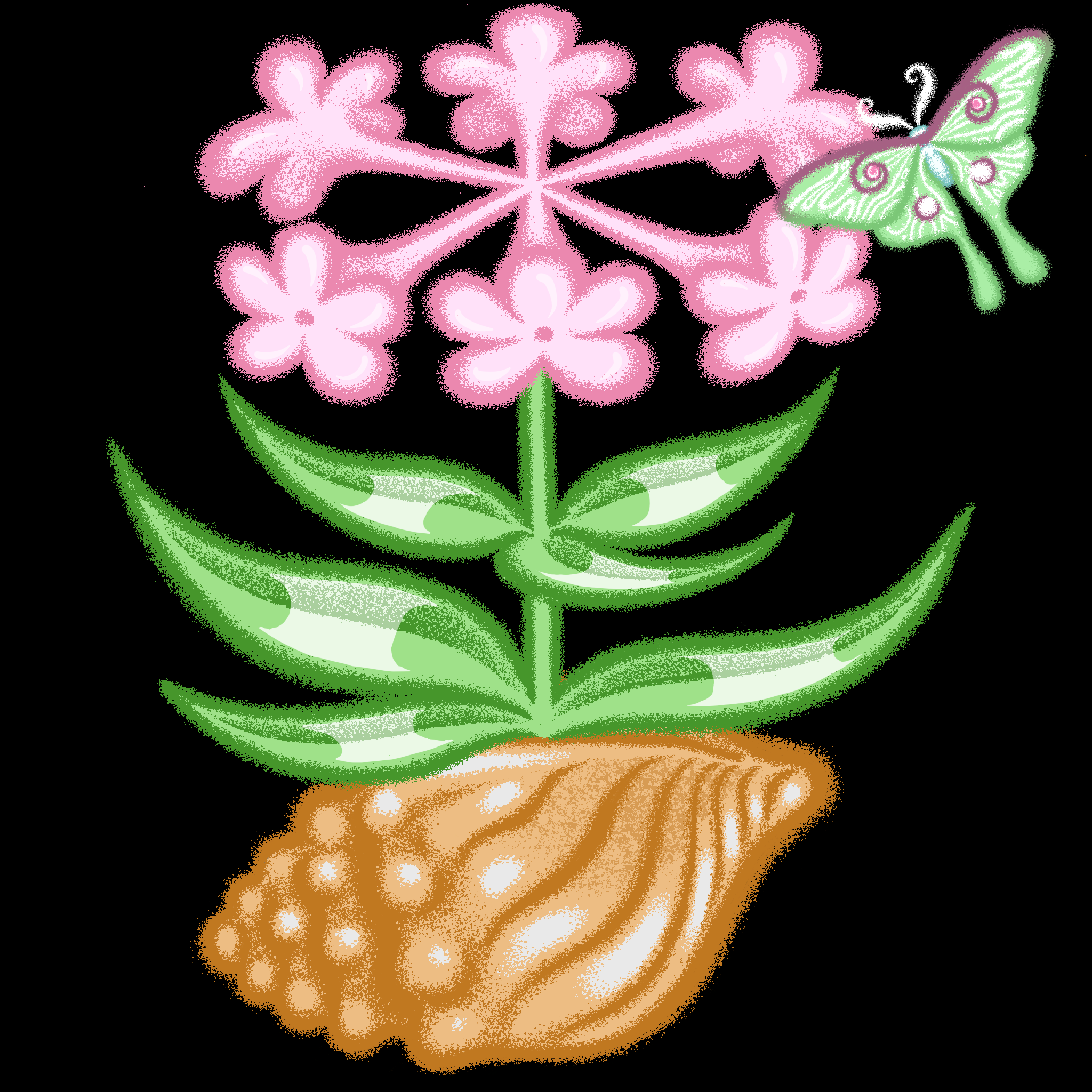 Bloomer #94