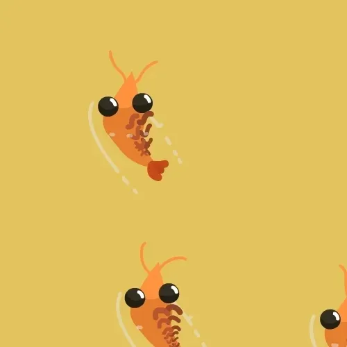 shrimp
