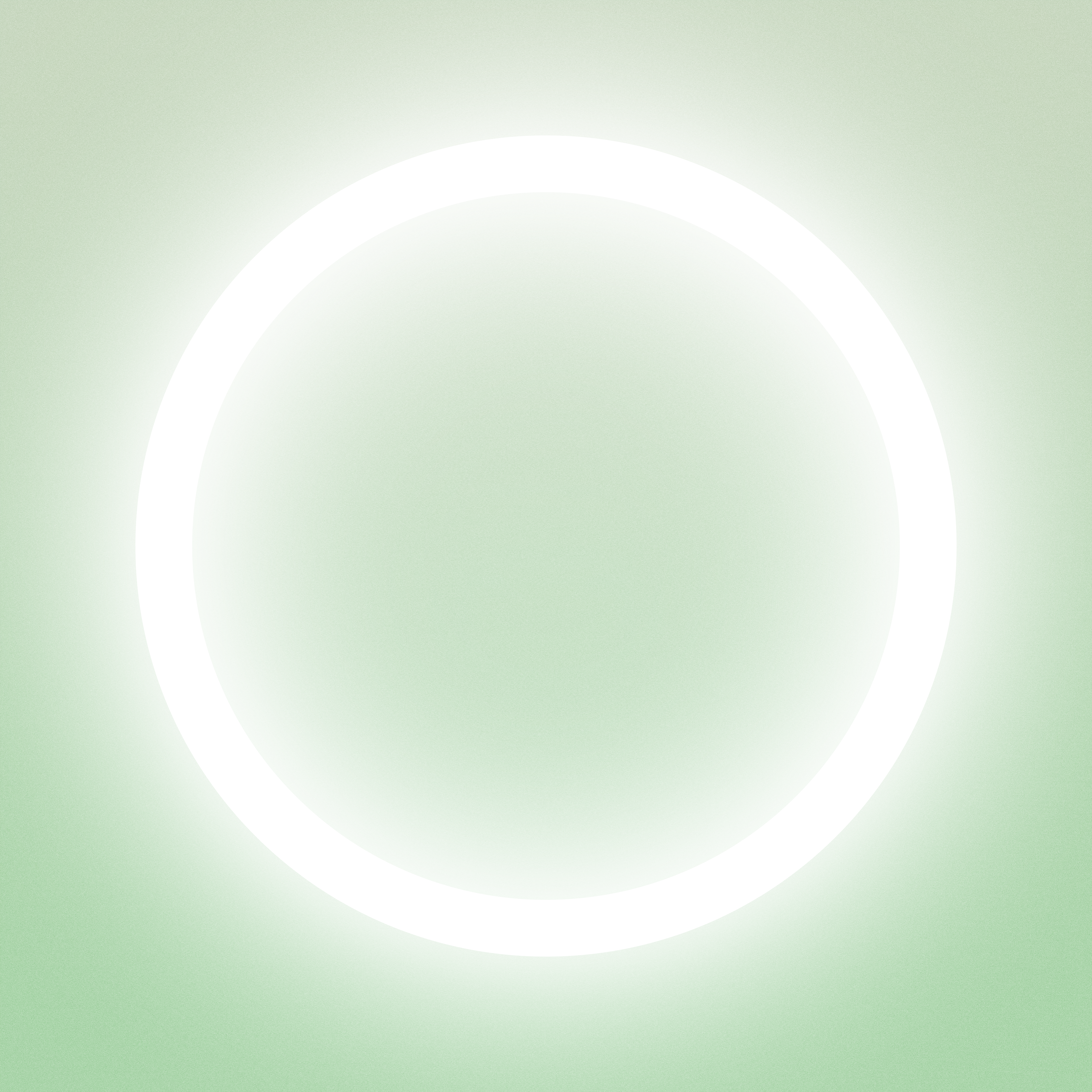 with the light 29