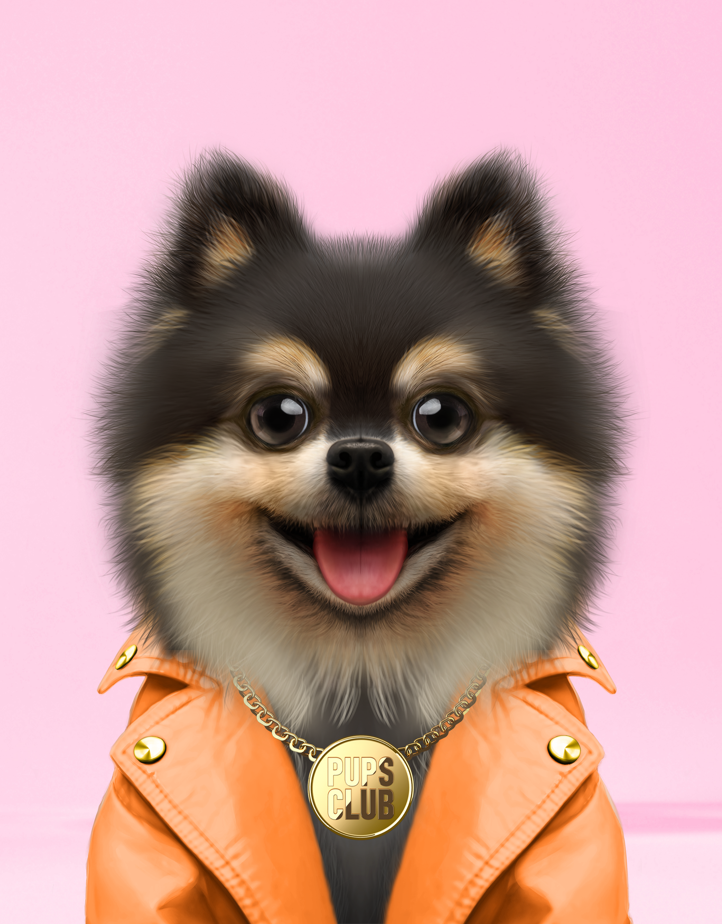 Pup #8245