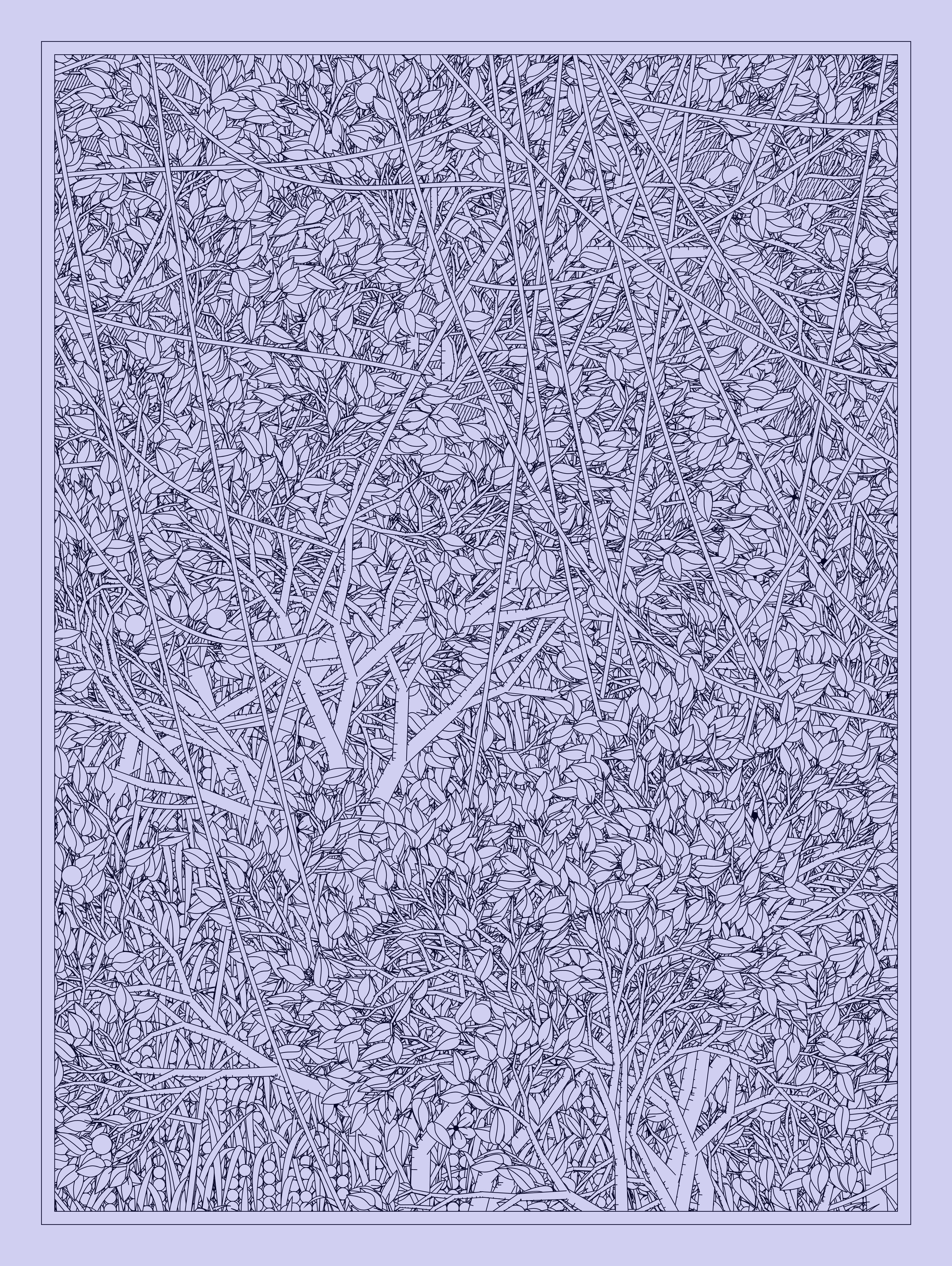 Entangled #342