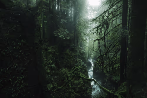 #3 - Verdant Solace