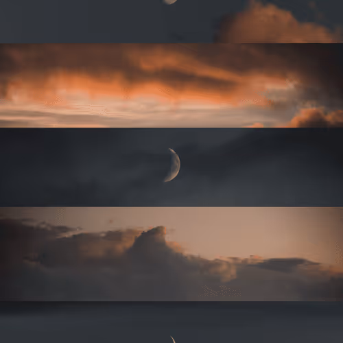E L E M E N T S