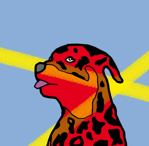 CryptoSami #276