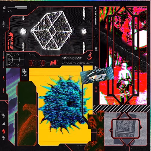 layers/liars #42