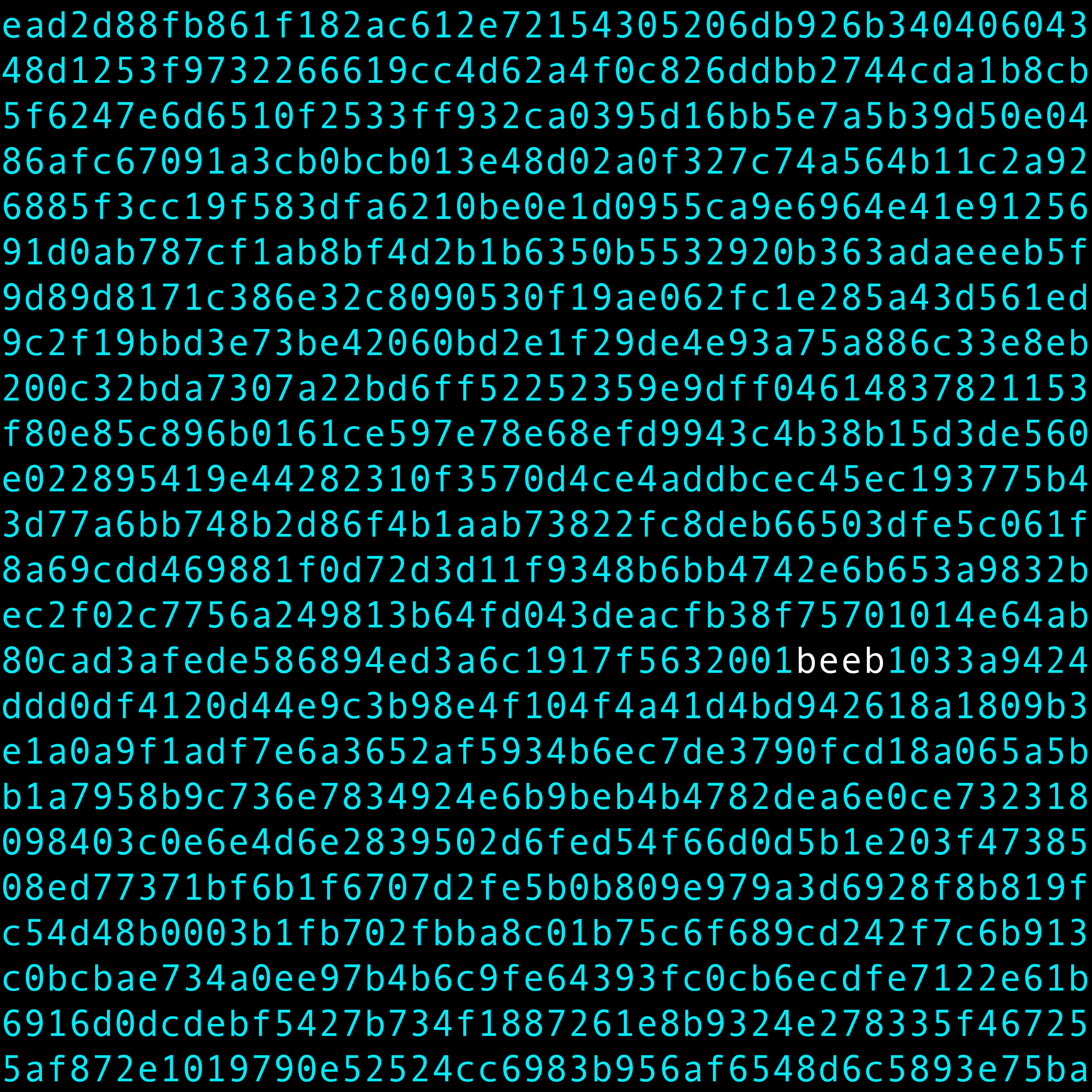 1111 #0006