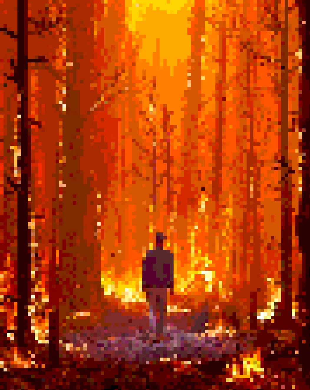 CALIFORNIA 