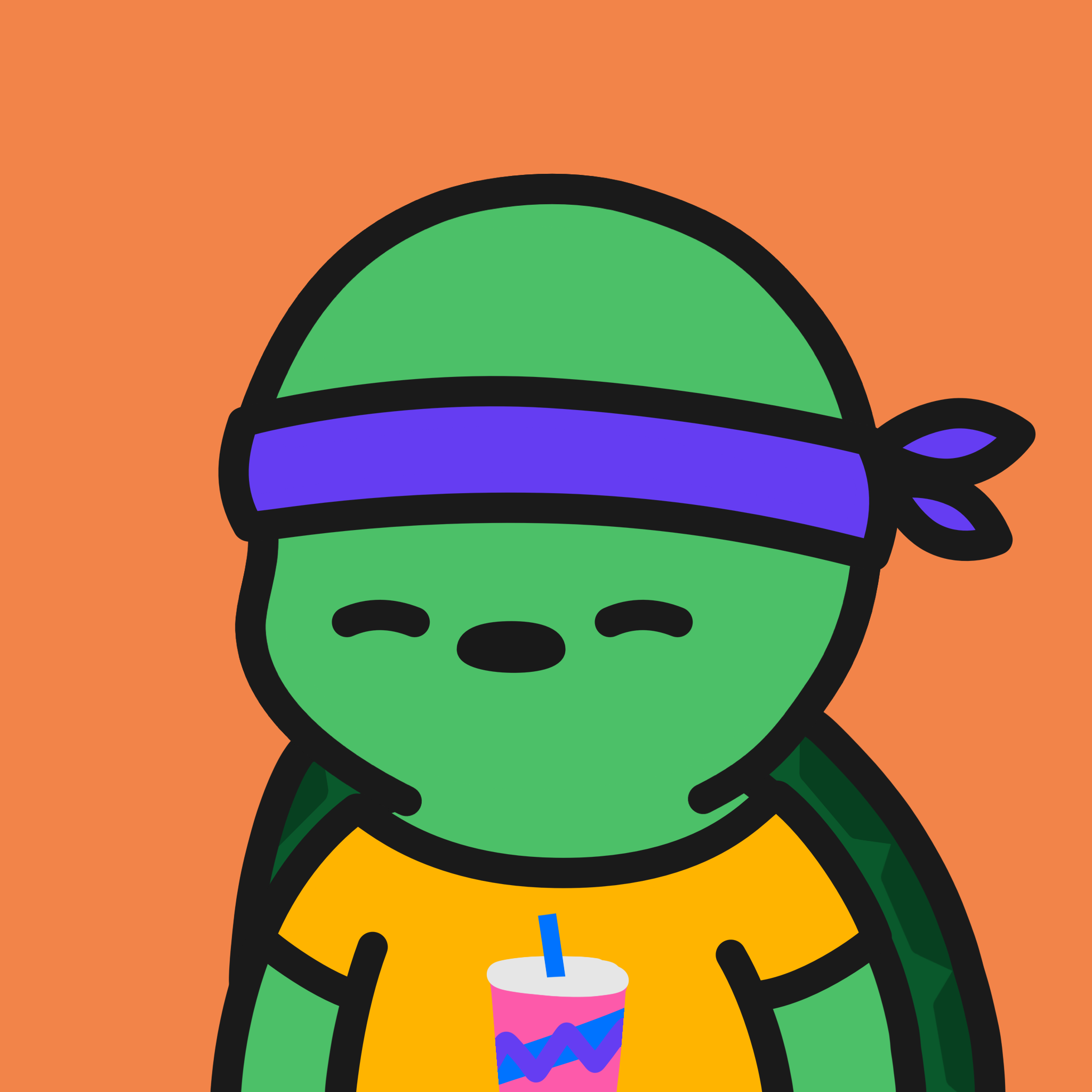 Turtle Town #2775